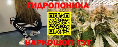 дмт Краснодар