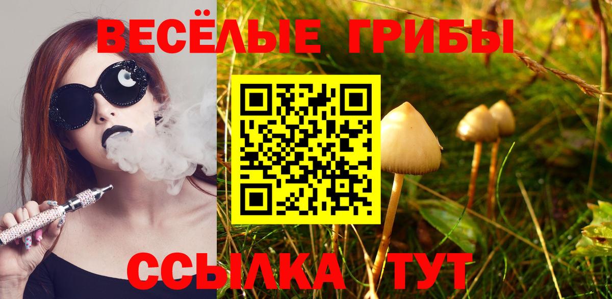 Галлюциногенные грибы Magic Shrooms  Вход с VPN  Волжск 